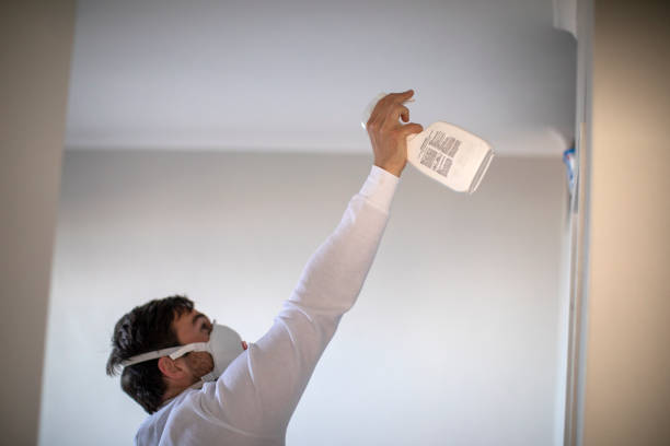 Best Post-Remediation Services in Granville, OH