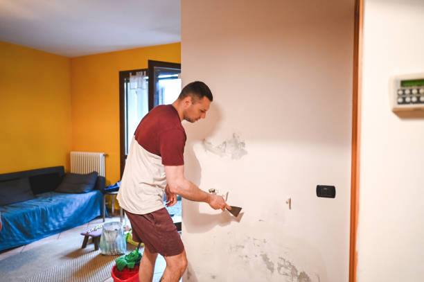 Best Crawl Space Mold Remediation in Granville, OH